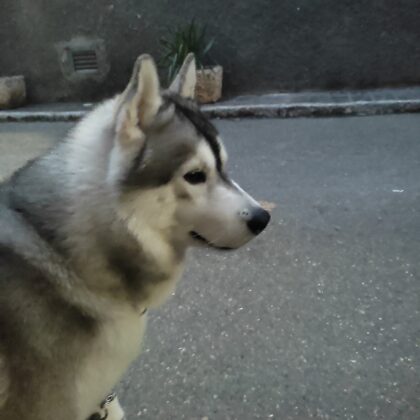 Guisamo- Sacedón Viaje relámpago. Gracias Ricardo