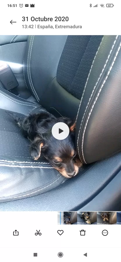 Sevilla - Utebo( Cachorrito de Lucia) 